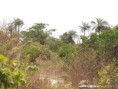 /album/photogallery/habitat-at-marrakisa-jpg/